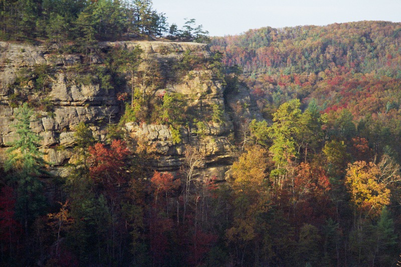 Red River Gorge in Fall